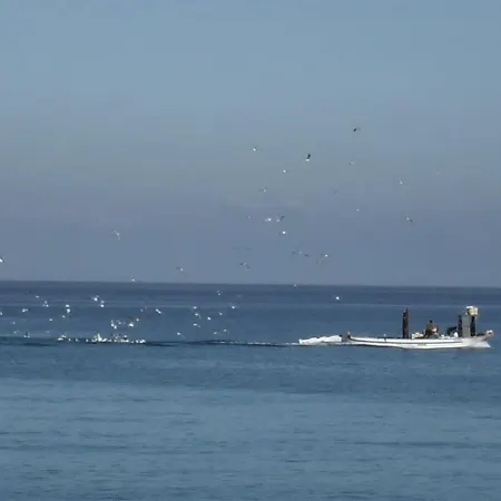 Riviera Calabra شقة فندقية زامبروني