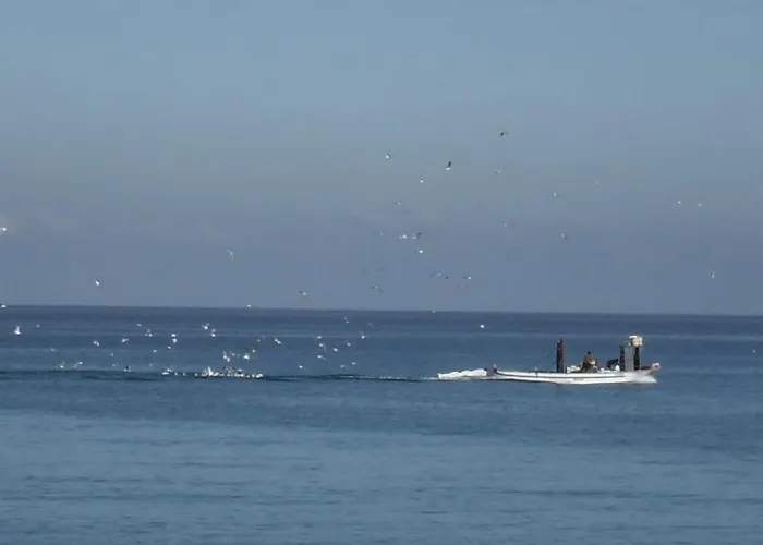 Riviera Calabra Aparthotel Zambrone